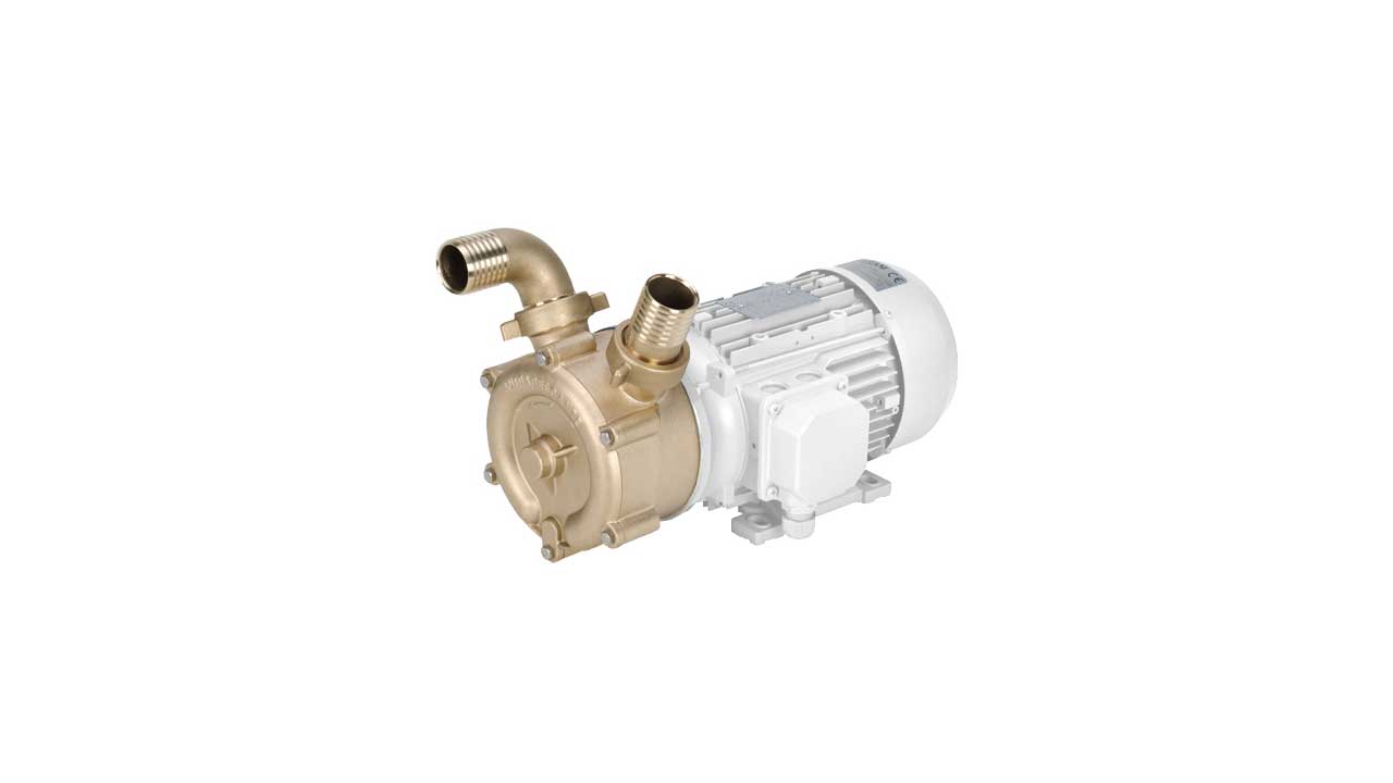 Liverani Pumps - Image 2