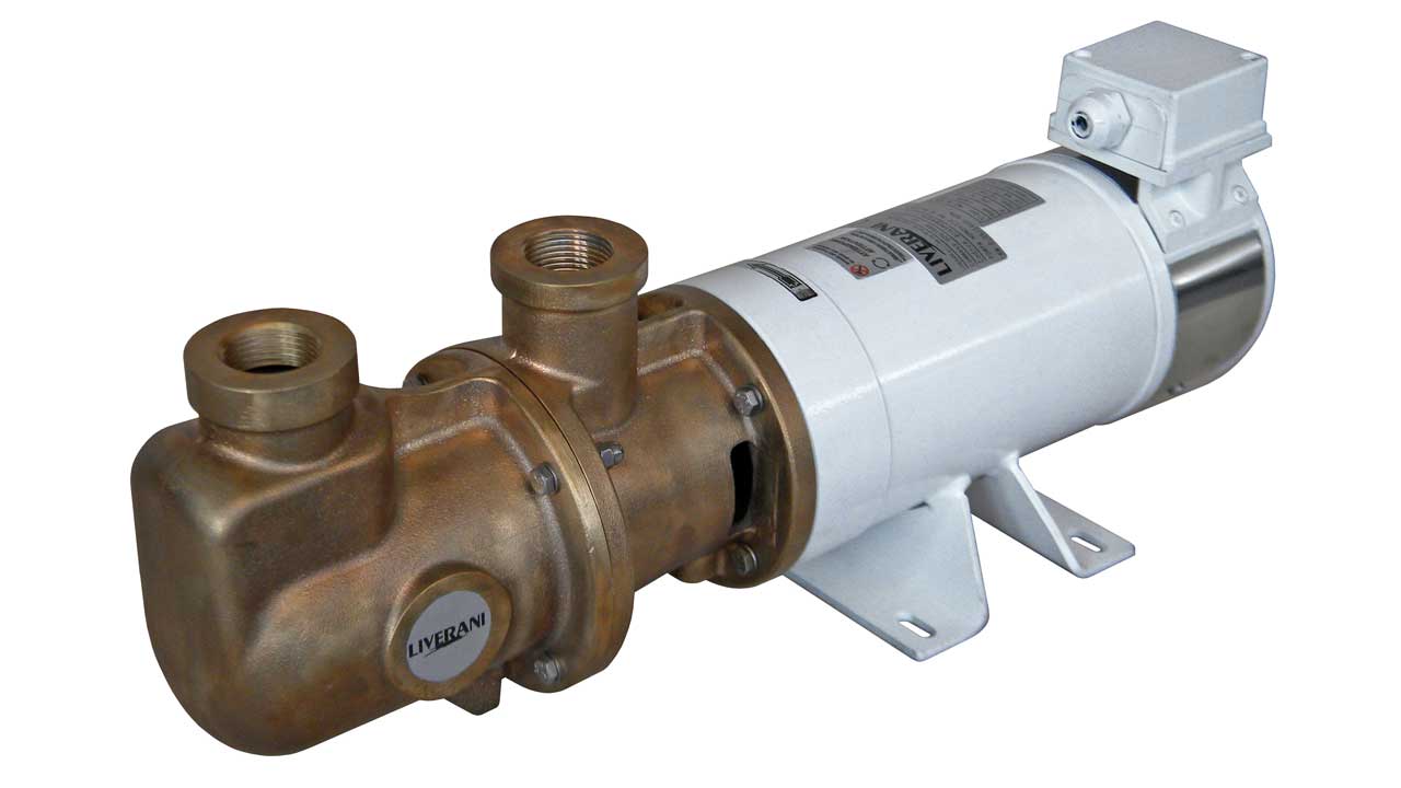 Liverani Pumps - Image 4